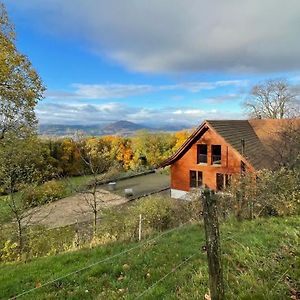 Wunderschoenes Gaestehaus Mit Grandioser Aussicht Apartamento Gempen Exterior photo