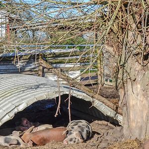 The Cow Shed Vila Arlingham Exterior photo