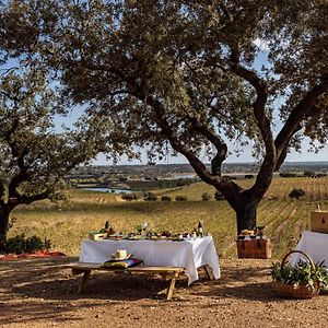 Herdade Do Sobroso Wine & Luxury Boutique Hotel Pedrogao  Exterior photo