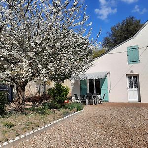 Gite Le Petit Anzan En Indre Et Loire Hotel Noizay Exterior photo