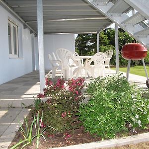 Haus Biengarten Apartamento Neustadt an der Weinstraße Exterior photo