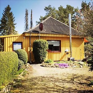 Gelbes Haus Bei Mardorf Am Steinhuder Meer Vila Rehburg-Loccum Exterior photo