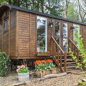 Sybs Farm Shepherds Hut Vila Fernhurst Exterior photo