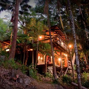 Currumbin Rainforest Treehouse Vila Currumbin Valley Exterior photo