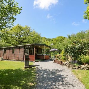 Brook Lodge Llandysul Exterior photo