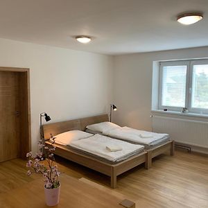 Apartmany Bolevec Plzen Pro Rodiny S Detmi A Zviratky Exterior photo