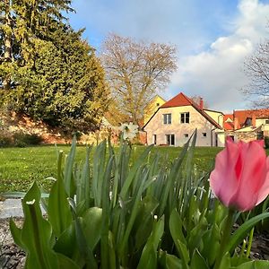 Om Yoga Center Apartamento Slovenska Bistrica Exterior photo