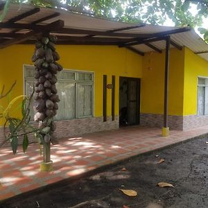 Cabana En La Playa Punta Bolivar Vila San Antero Exterior photo