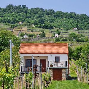 Jera Pince és Vendégház Vila Somlovasarhely Exterior photo