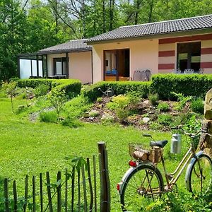 Ferienhaus Rehblick - Direkt In Der Natur, Mit Lesezimmer Und Zwei Terrassen Friedrichroda Exterior photo