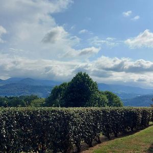 Monfaucon Vue Sur Les Pyrenees Apartamento Pouzac Exterior photo