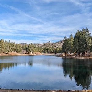 Hidden Jewel Of San Bernardino Mountains Vila Green Valley Lake Exterior photo