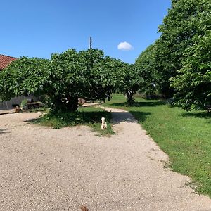 Gite La Longere Bleue Vila Caylus Exterior photo