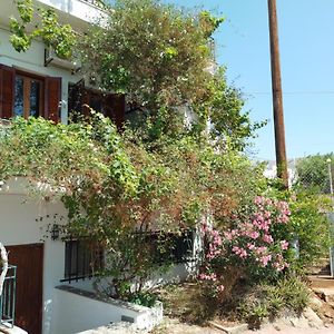 Loggia Two Hotel Agia Galini Exterior photo