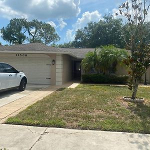 Cheerful 3 Bed House In A Cul- De-Sac! Vila Tampa Exterior photo