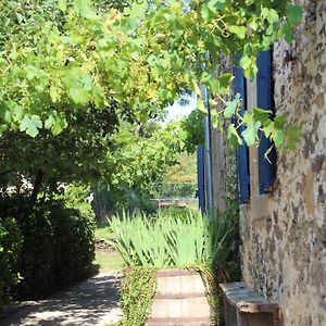 La Maison Cayre Acomodação com café da manhã Mirandol-Bourgnounac Exterior photo