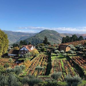 Quinta Vila Rachel - Winery Hotel Sao Mamede de Ribatua Exterior photo