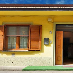 Le Mimose Acomodação com café da manhã Spezzano Albanese Exterior photo