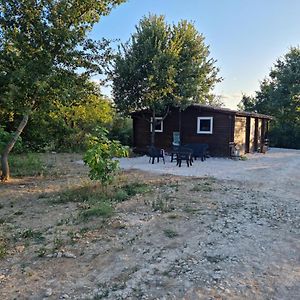 Pons Family Vila Martignargues Exterior photo