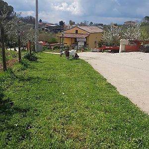 Agriturismo San Tommaso Acomodação com café da manhã Ariano Irpino Exterior photo