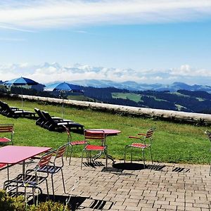 Barnsicht Panorama Hotel Wasen Exterior photo