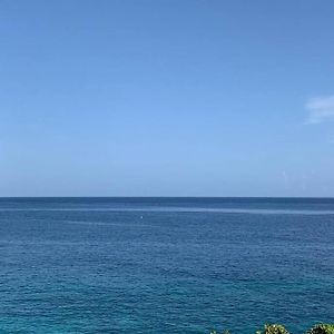Irie Vibes Ocean View Vila Negril Exterior photo