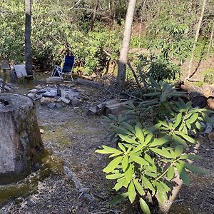 Beech Creek Cabin, Black Mountain Vila Exterior photo