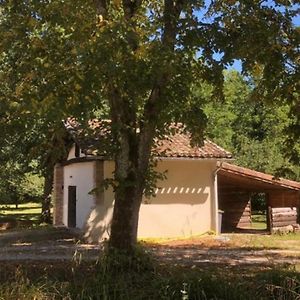 Eco-Gite En Pleine Nature Apartamento Lisle-sur-Tarn Exterior photo