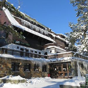 Penzion Sykovec Hotel Tři Studně Exterior photo