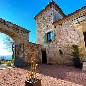 Domaine De Lejos - Portes D'Albi Acomodação com café da manhã Lamillarié Exterior photo