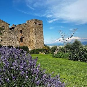 Medieval Tower In Umbria With Swimming Pool Vila Montelagello Exterior photo