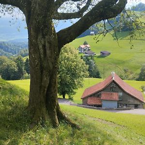 Dom Wiejski Artur Apartamento Goldingen Exterior photo