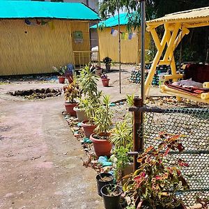 Tour Connection Huts Hotel Kangra Exterior photo