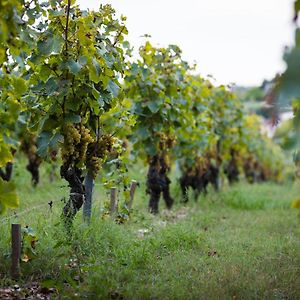 Gite Au Milieu Des Vignes Vila Prignac-et-Marcamps Exterior photo