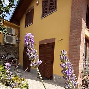 Casa Lavanda Acomodação com café da manhã Rivoli  Exterior photo