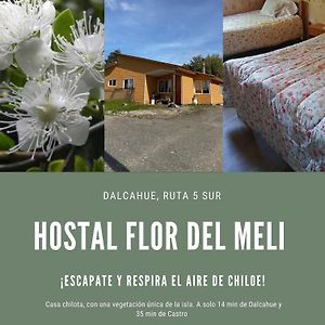 Hostal Flor Del Meli Acomodação com café da manhã Dalcahue Exterior photo