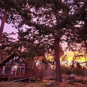 Rustic A-Frame Hot Tub Retreat Near Deception Pass Vila Oak Harbor Exterior photo