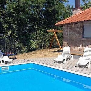 Family Friendly House With A Swimming Pool Marija Bistrica, Zagorje - 21735 Vila Exterior photo
