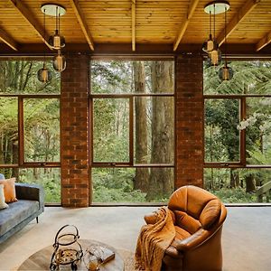 Modern Seednest Treehouse, Forest & Mountain View Vila Sassafras Exterior photo