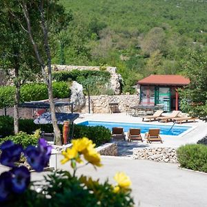 Villa Brkic With Large Private Pool And Playground Brkici Exterior photo