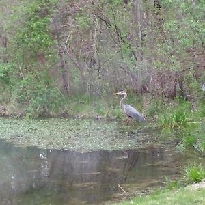 Turkey Trot, Cabin Getaway On Lake W/ Hot Tub Streetsboro Exterior photo