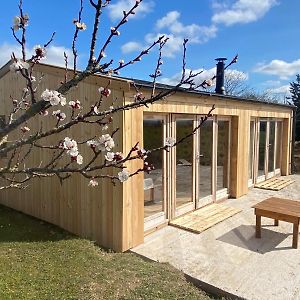 Chalet En Bois Privatif St Pourcain Sur Sioule Casa de hóspedes Bransat Exterior photo