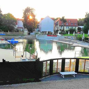 Ferienhaus Strauss Nahe Der Kyffhaeuser Therme Vila Bad Frankenhausen Exterior photo