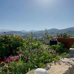Nostos - The Garden Studio Vila Glinado Naxos Exterior photo