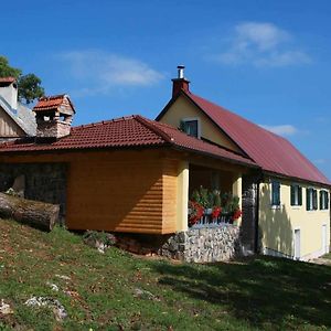 Holiday House With A Parking Space Zuta Lokva, Senj - 22686 Vila Brinje Exterior photo