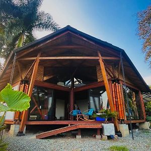 Boohouse - A Wild Cabin In Colombia Vila Caicedonia Exterior photo