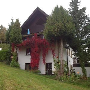 Waldblick Apartamento Tannenberg Exterior photo