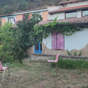 Il Nuraghe Acomodação com café da manhã Arbus Exterior photo