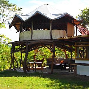 Tarzan Treetops Vila Puerto Manzanillo Exterior photo