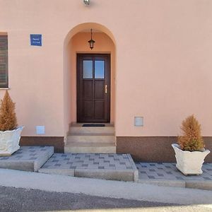 Lucijana Apartamento Novigrad Istria Exterior photo
